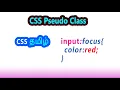 Pseudo Class focus in css tamil change background color when i click or focus input box