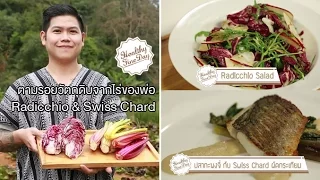 ผักชนิดไหนที่มีชื่อว่ารัติโอและมีลักษณะหน้าตาเป็นโคนสีขาวกับใบสีแดง?