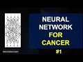 Neural Network for Cancer Prediction using Gene Expression Data Python for Machine Learning