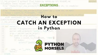 How to catch an exception in Python
