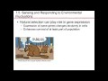 Chapter 7 part 7 microbiology nester sandburg