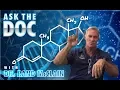 Download Lagu WOULD IT BE BENEFICIAL TO ADD DHEA \u0026 OR PREGNENOLONE TO HRT?