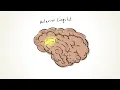 This is what happens in your brain when you can’t recall a word - Cella Wright