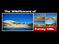 Pavement to Paradise Off-Roading Tumey Hills