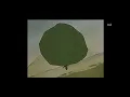 Download Lagu Bamse och vulkanutbrottet Del 5