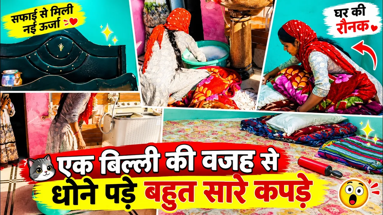 बिल्ली कर गई पाटी