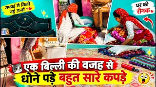 बिल्ली कर गई पाटी