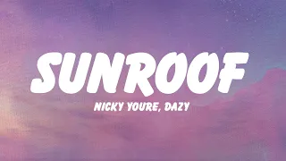 Nicky Youre, dazy - Sunroof (Lyrics)