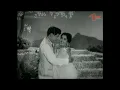 Download Lagu NTR | Jamuna | Mallelu Kurisina Challani Velalo song | Adugu Jaadalu movie | SM Collab by JR \u0026 S18 |