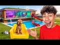 We Built Our Pets the ULTIMATE Dream Space! | The Royalty Family