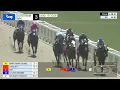 Gulfstream Park August 17 2026 Race 3