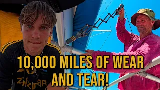 NATURE CHARGES! WILDLIFE & BOATLIFE | Sailing South Africas wild coast