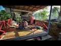 Download Lagu Kehidupan di kampung dayak, kangen kue dan kopi tumbuk jahe buatan ibu, berkebun menanam sayuran
