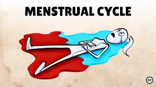 The Menstrual Cycle Explained A Guide To The 4 Phases Hormones 