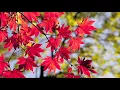 Jerry K - The Air I Breathe - Lyrics - Gospel Music 2017 | Praise & Worship Song
