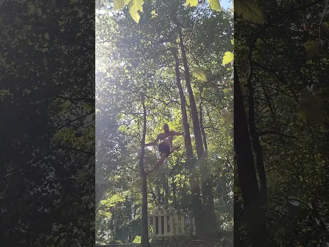 backyard Tree Transfer