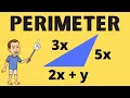 Perimeter of a Triangle using Variables