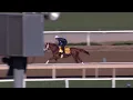 Breeders Cup Prep - Bright Future