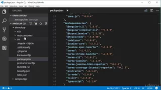 Angular CLI - Mastering the Basics Exploring Folder Structure