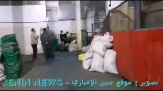 فيديو مراحل عصر الزيتون في معاصر جنين 