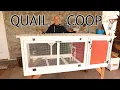 DIY Quail Coop Tour