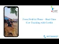 Track Your Cows Anytime Anywhere - With Cowbit