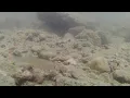 Kayaking Adventures - 8