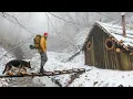 Lagu Building A STRONG Log Cabin Shelter In The Wilderness And Spent 24 Hours!