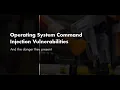 OS command injection simple case Solution 2020 - 2021