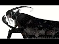 Ichika Nito - N I T O Full EP