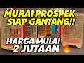 Download Lagu BURUNG KIOS LANGSUNG NGGANTANG DI MASTERPIECE! HARGA MULAI 2 JUTAAN AJA?!