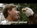 Steve Irwin s Adventures in America The Crocodile Hunter Animal Planet