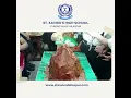 Craft your own simple and easy volcano eruption working model