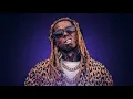 Download Lagu Lil Wayne Ft. Jelly Roll \u0026 Big Sean - Sharks (Acapella)