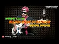 Lagu BISIKAN KASIH ELVY SUKAESIH INSTRUMENTAL COVER GUITAR