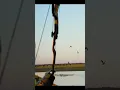 Download Lagu Teal 23, Archery,  Duck This!  #duck #short #what?
