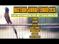Lagu MASTERAN MURAI BATU FULL TEMBAKAN MEWAH MATERI TERBAIK 2026