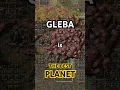 Gleba is the Best Planet in Factorio