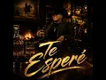 Te Esperé