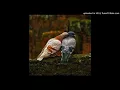 Matthew Halsall - 02 Together(Colour Eyes Album)