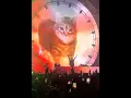 Download Lagu 😭 uiia cat at a rave 🎸🕺 #cat #silly #shorts