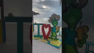 Grabbers in Great Guana Cay #shortvideo #travel #sailinglife #beach #grabbers