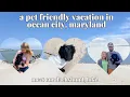 TAKING OUR DOG TO OCEAN CITY MARYLAND 2023 VLOG ADVENTURE WITH KATIE