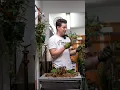 Download Lagu What orchid medium do you like? #houseplants #orchids #planttips