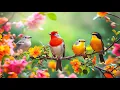 Download Lagu Birdsong 🕊️🕊️🕊️ \u0026 Piano: Instant Stress Hormone Reduction for Inner Peace