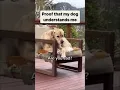 Dog knows