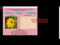 Image Steganography Using Python Opencv Hiding Secret Data In Image sing Python Project With Code