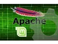 Install and Run Apache Server on Linux Mint 17 2