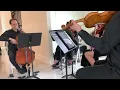 Sunflower by Post Malone for String Quartet Modern Strings