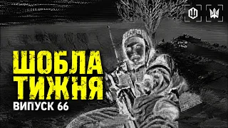 Шобла тижня епізод 66. Знімкують пілоти 414 ОБр СБС «Птахи Мадяра»